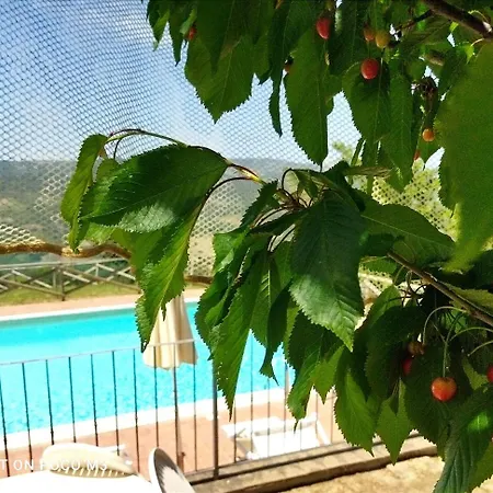 Poggio Al Vento
