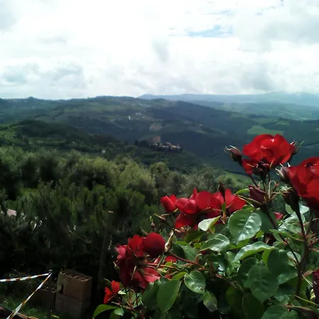 Poggio Al Vento *